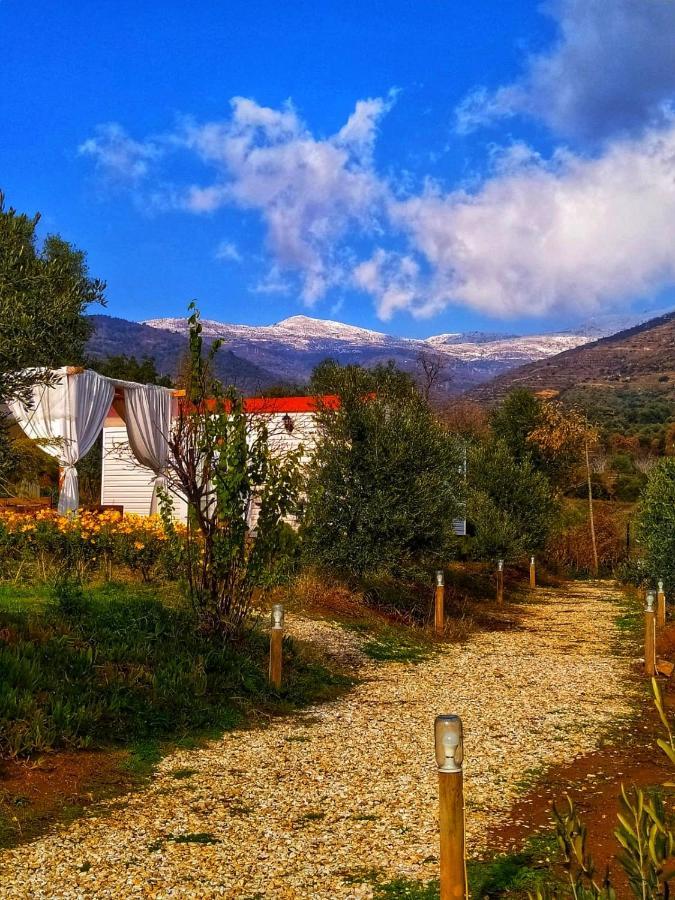 Hayal Tadinda Hotel Izmir Bagian luar foto